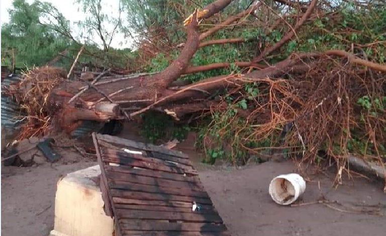 Tornado azota la comunidad de Falomir en Aldama; hay varias casas sin techo