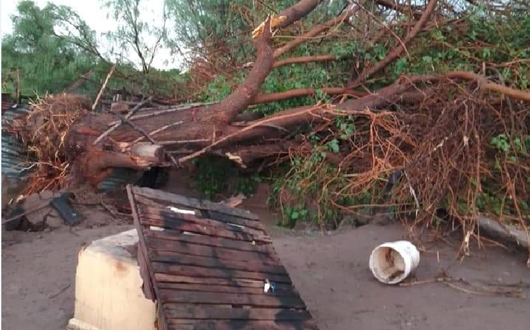 Tornado azota la comunidad de Falomir en Aldama; hay varias casas sin techo