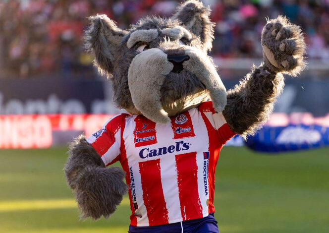 Lucho, la mascota del Atlético de San Luis que está llena de significados