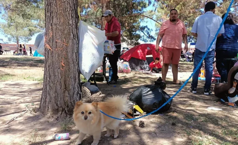 Fueron dos personas lesionadas y el fallecimiento de un bebé en Samalayuca durante festividades de Pascua