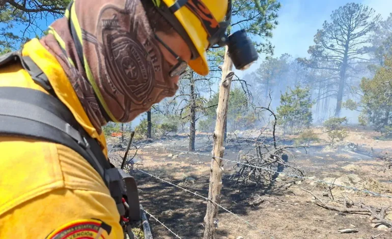 Incendios forestales se triplican a causa de la sequía en Chihuahua