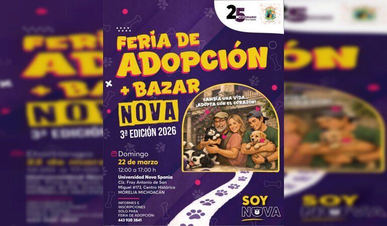 Adopta un amor: perros y gatos esperan un hogar en feria solidaria